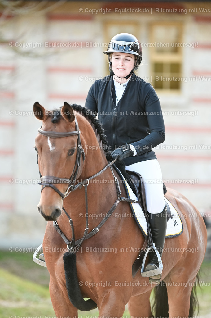 20260307_Hengstvorstellung-Marbach_0037 | equistock