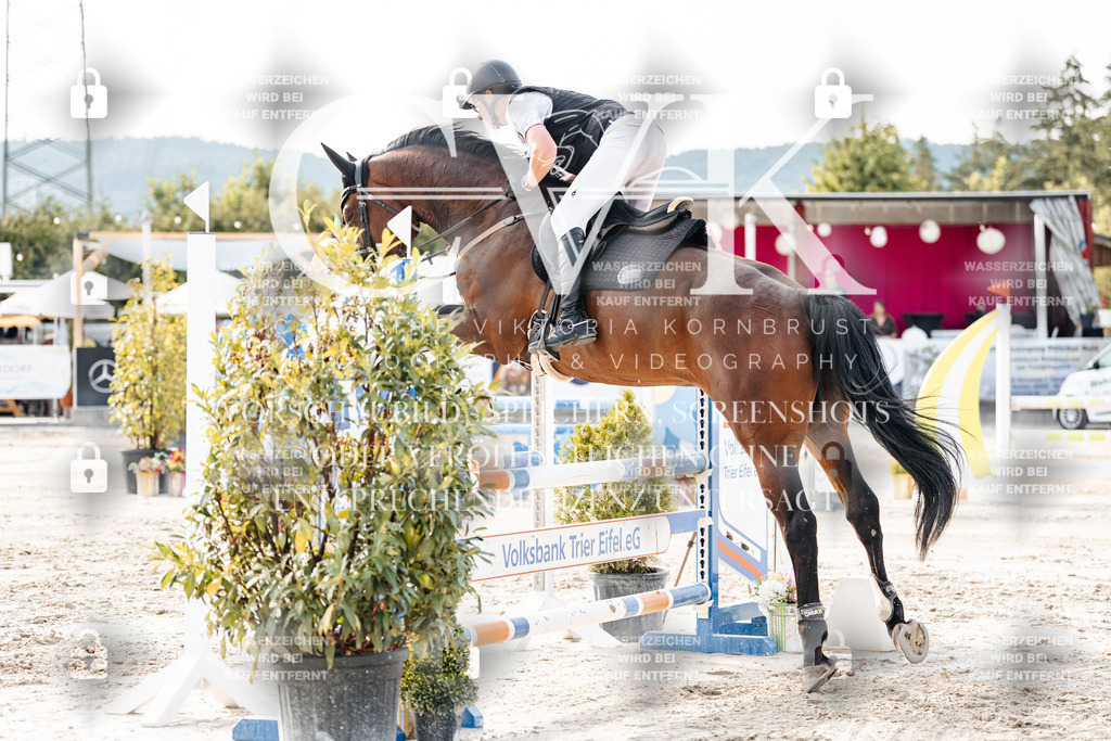 CK906537 | Turnierfotografie Pferdefotografie Trier Rheinland-Pfalz Pferdesport Reitsport Tierfotografie Sportfotografie Pferdevideo Pferdevideografie Equestrianvideography equestrianphotography  - Realisiert mit Pictrs.com
