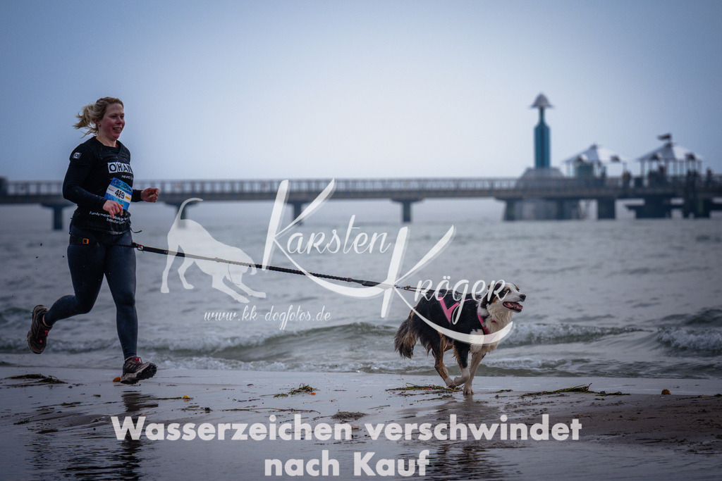 1138_ZZ99665 | kk-dogfotos