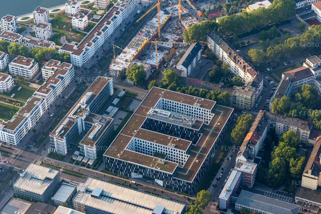 Luftbild: Bürogebäude des Verwaltungs- und Geschäftshauses von BASF Business Service am Rhein im Ortsteil Süd in Ludwigshafen im Bundesland Rheinland-Pfalz in Deutschland. Foto: IMG_116904.jpg vom 25.08.2019 durch Werner Riehm/FLY-FOTO.de