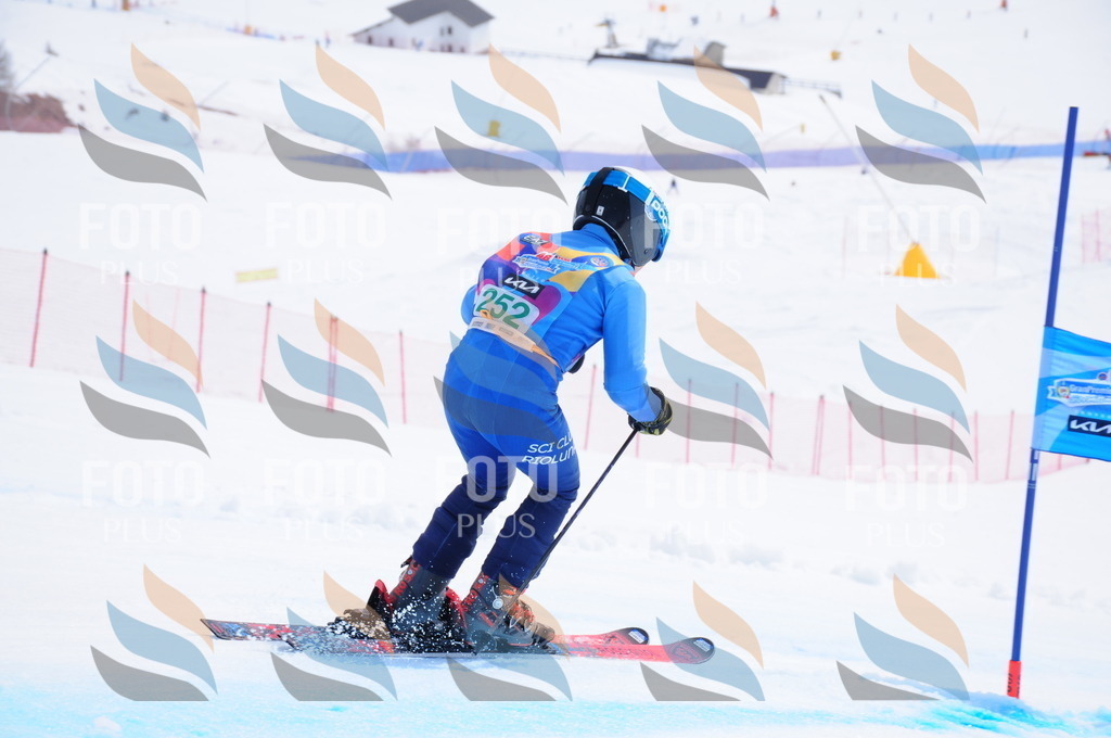 DSC_2386 | holidayphoto