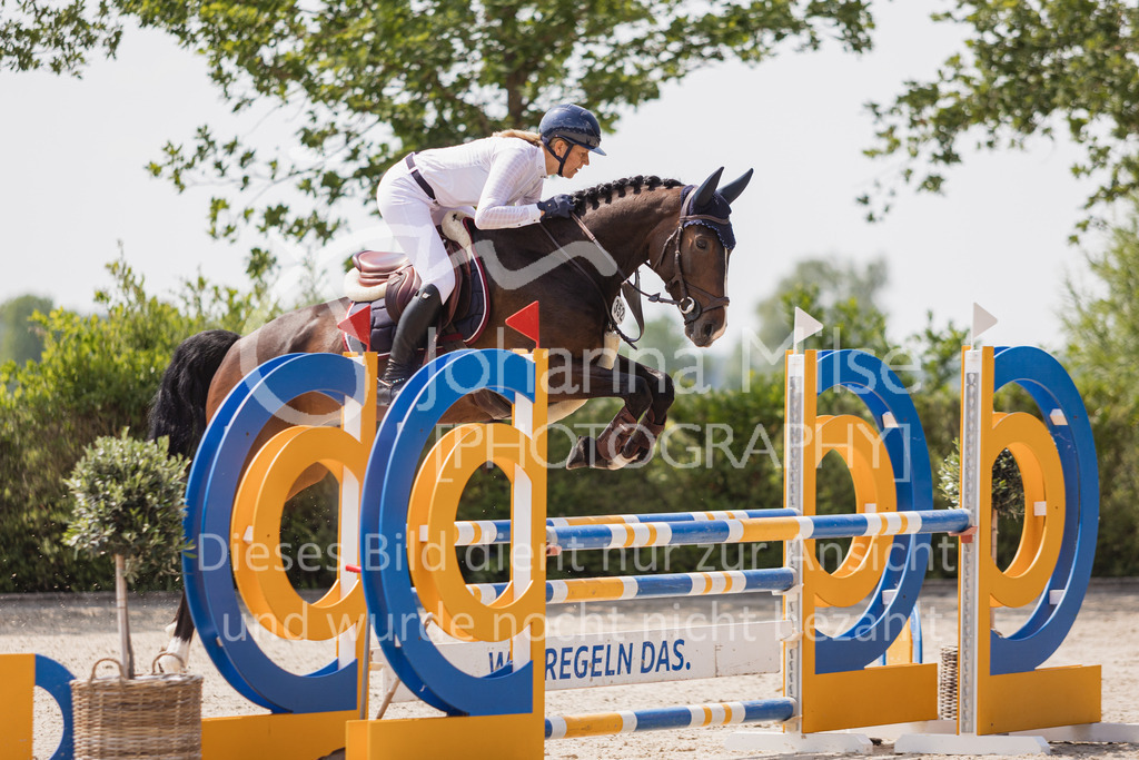 230616_Lemwerder_Springpf-L2-687 | Deine schönsten Turniermomente als professionelle Fotos! Entdecke hochwertige Pferdesport-Fotografie im Online-Shop. Jetzt Fotos finden & bestellen!