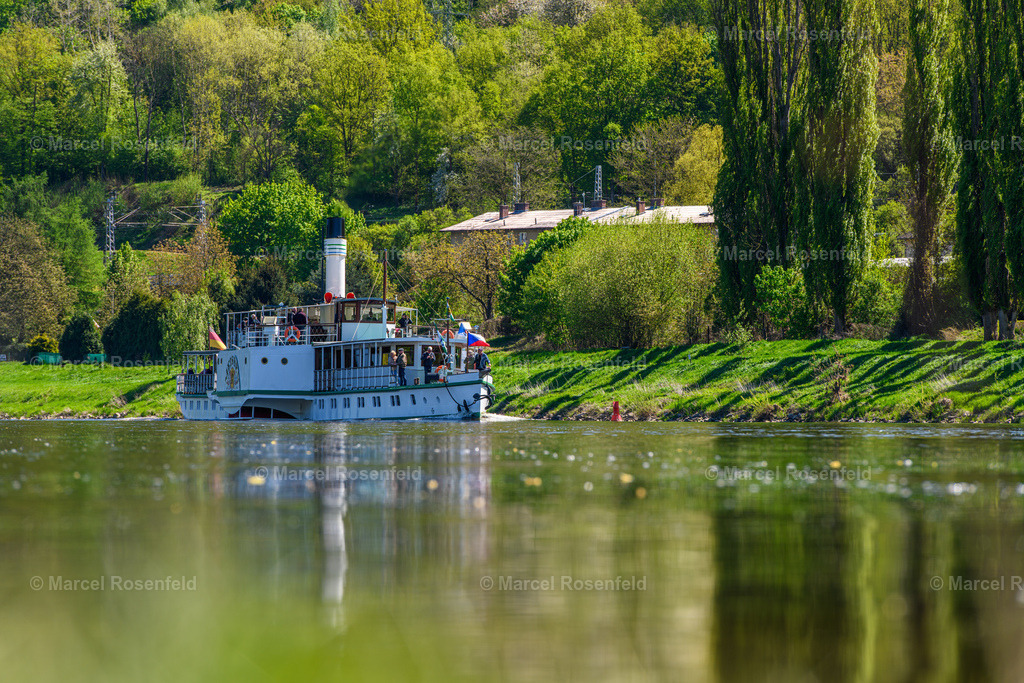 _DSC3849 | foto-rosenfeld