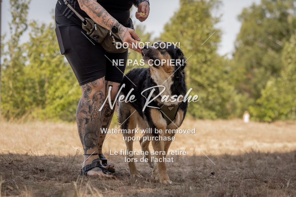 nelerasche_soDD2_266 | nelerasche