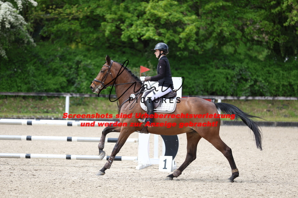 A40A2168 | lmwpictures - Realisiert mit Pictrs.com