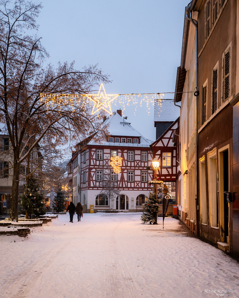 _DSC6696 | renerovisanfotoart.com