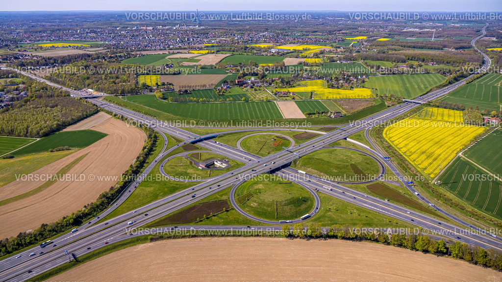 Kamen220403874Rotary | Luftbild, 20.000 Tulpen pflanzten die Kamener Rotarier am Kamener Kreuz unterhalb der ADAC-Hubschrauber-Skulptur. Sie werden in den nächsten Tagen blühen. 
Rotarys Kampf gegen die Kinderlähmung (POLIO Poliomyelitis)
Das größte Projekt, das Rotary in seiner 116-jährigen Geschichte je angepackt hat – der Kampf gegen die Kinderlähmung –, heißt PolioPlus und steht kurz vor dem Ziel: Seit 1988 gelang es mit Hilfe mächtiger Partner wie der Weltgesundheitsorganisation, den größten Teil der Welt durch massive Impfkampagnen von Polio zu befreien. Durch die großen Fortschritte der letzten Jahre rückt das Ziel in greifbare Nähe: Innerhalb der nächsten drei Jahre bis 2023 soll die Übertragungskette weltweit unterbrochen sein. , Kamen, Ruhrgebiet, Nordrhein-Westfalen, Deutschland