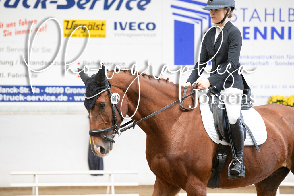 IMG_5897 | photographesa-joergens - Realisiert mit Pictrs.com