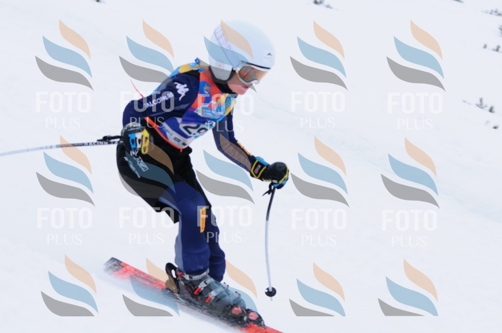 C3168 | holidayphoto