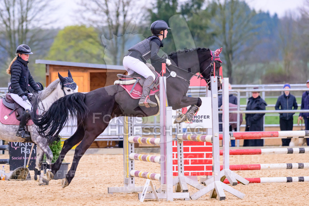 10042026-Mammendorf-Prfg16-0669 | Fokus Hufschlag Fotografie - Realisiert mit Pictrs.com
