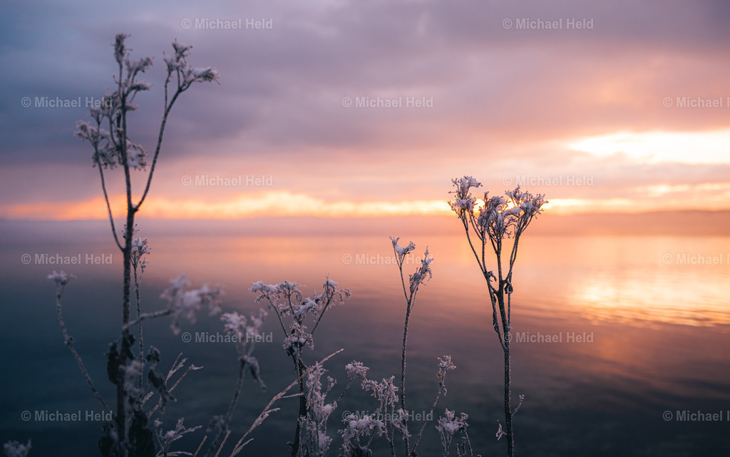2023-12-01_Wald_Pratjau_Schnee_008 | Profi-Fotos über Schleswig-Holstein und dem ganzen Norden für Büro, Hotel, Ferienhaus, Ferienwohnung, Wohnzimmer, Arztpraxis uvm. jetzt bestellen. - Realisiert mit Pictrs.com