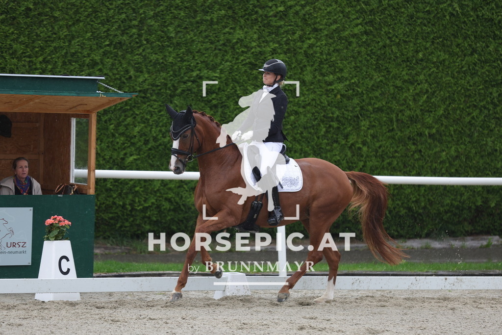 0P6A0157 | Willkommen bei Brunnmayr - Design & Fotografie – Ihrem Spezialisten für Reitturniere und Pferdeveranstaltungen in Oberösterreich, Salzburg und Bayern! Seit über 17 Jahren sind wir leidenschaftlich dabei.