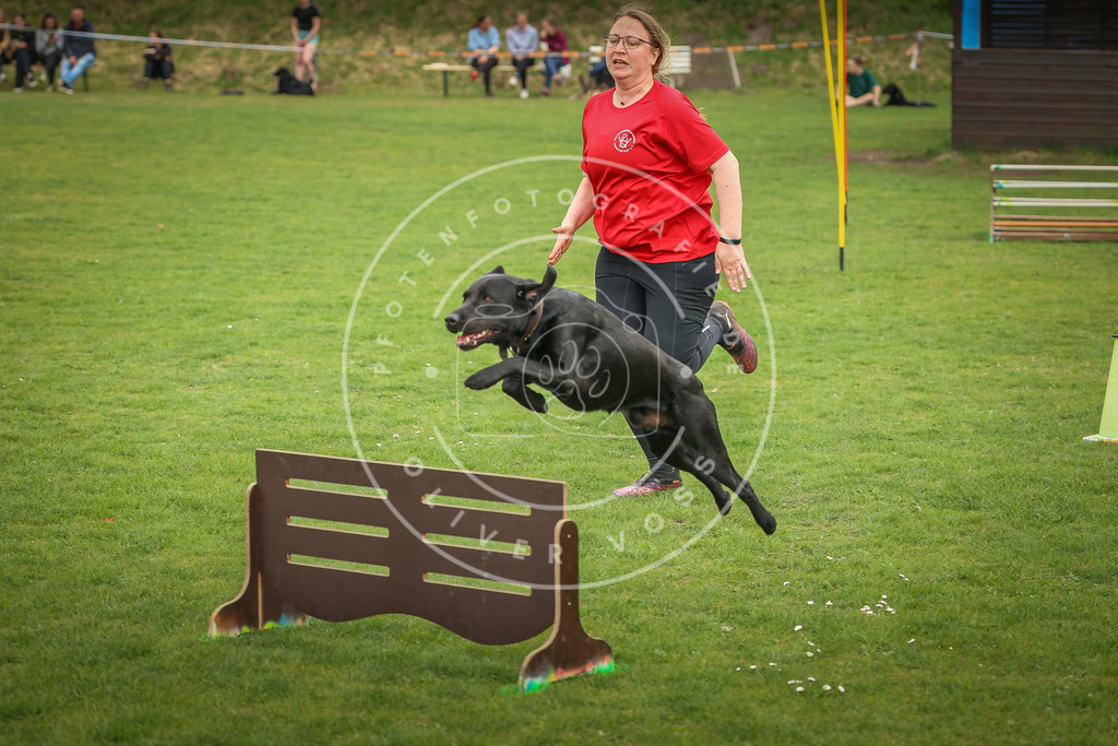 Pfotenfotografie_0L8A1077 | Hundefotografie, Tierfotograf, Pfotenfotografie, Fotoshooting Hund, Hunde Portrait, Hundesport, Hundeportraits, Heideshooting, Hunde, Sportfotograf, Hundefotograf, Turnierhundsport, THS,  - Realisiert mit Pictrs.com