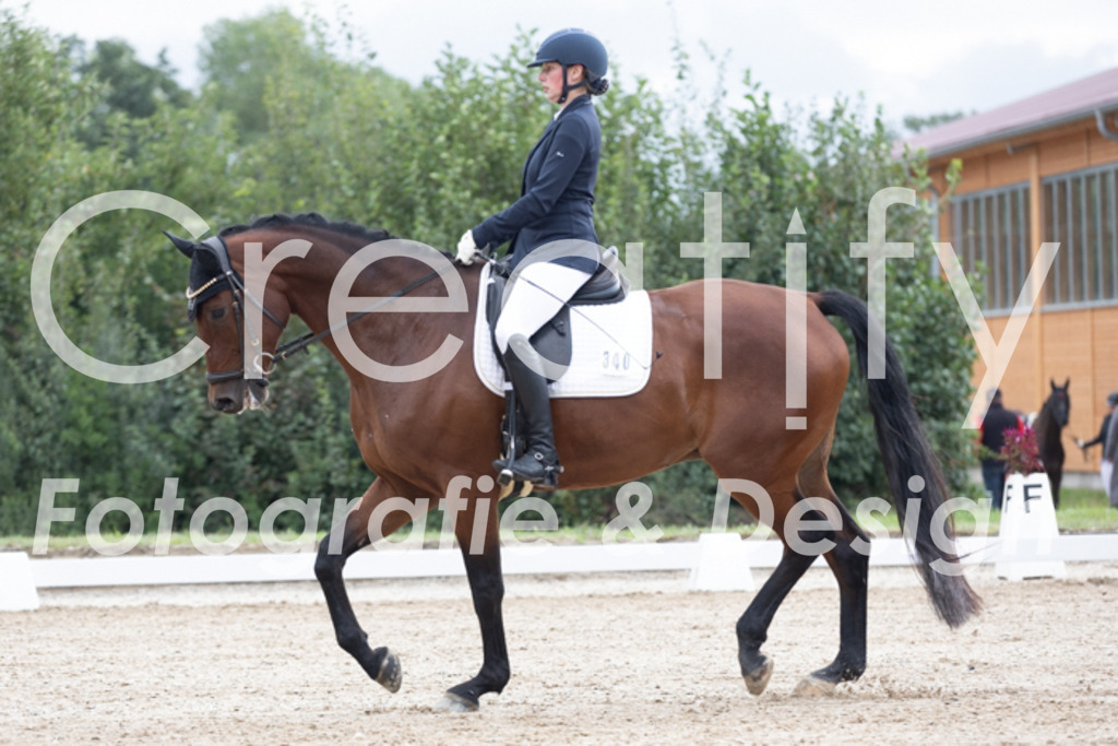 IMG_0421 | Creatify Fotografie