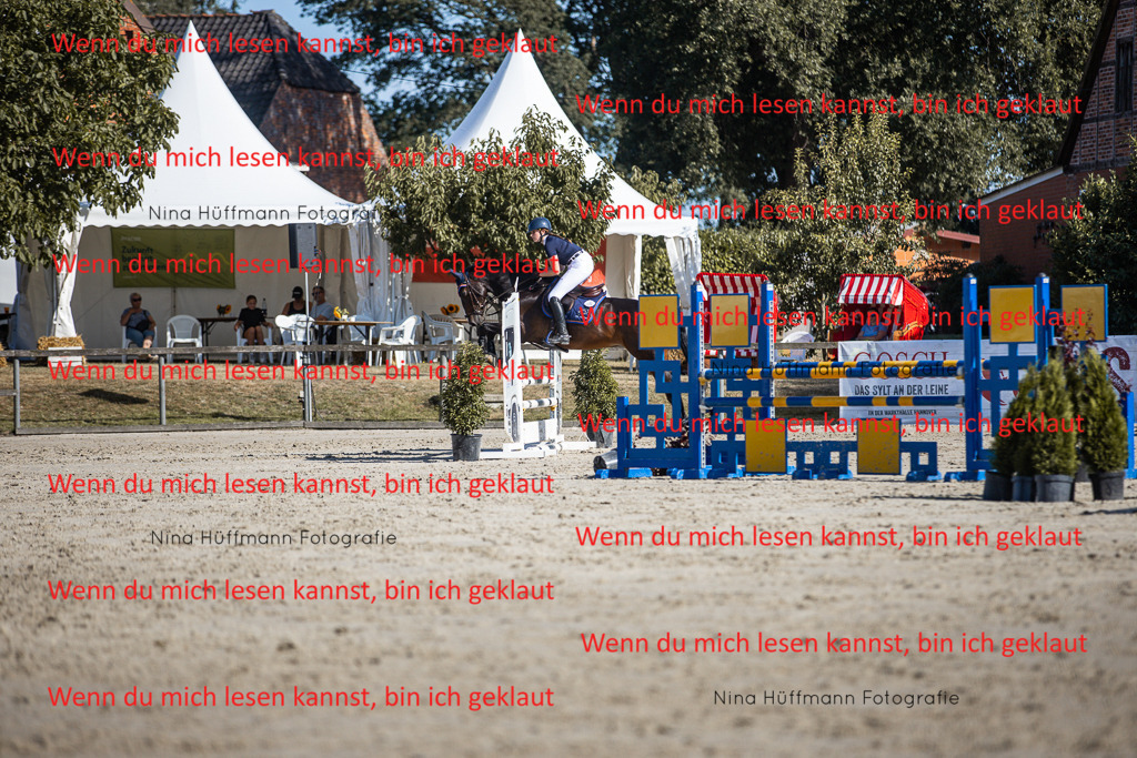 BK1A7344 | Turnierbilder Turnierfotos Nina Hüffmann Turnierfotografie Pferdefotografie Tierzeichnung Haustierzeichnung Pferdezeichnung Hundezeichnung Videograf  - Realisiert mit Pictrs.com