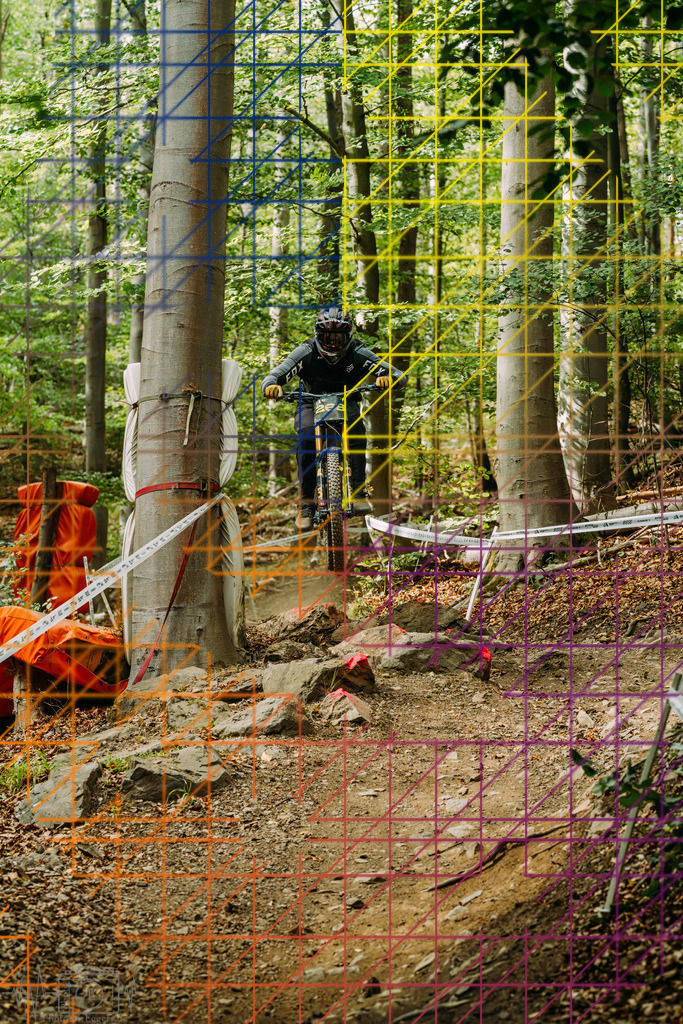 PAE-2026 | Einzigartige Fotokunst für dein Zuhause: Entdecke hochwertige Wandbilder, edle Prints und emotionale Motive von Wildlife, Natur und Landschaften - Realisiert mit Pictrs.com