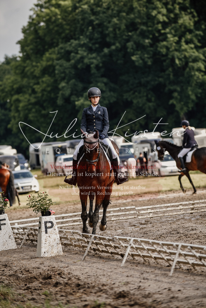 DSC_8670 | Pferde- und Turnierfotografie in Westsachsen. Pferdeportraits, Auftragszeichnungen und intuitive Kunst.
