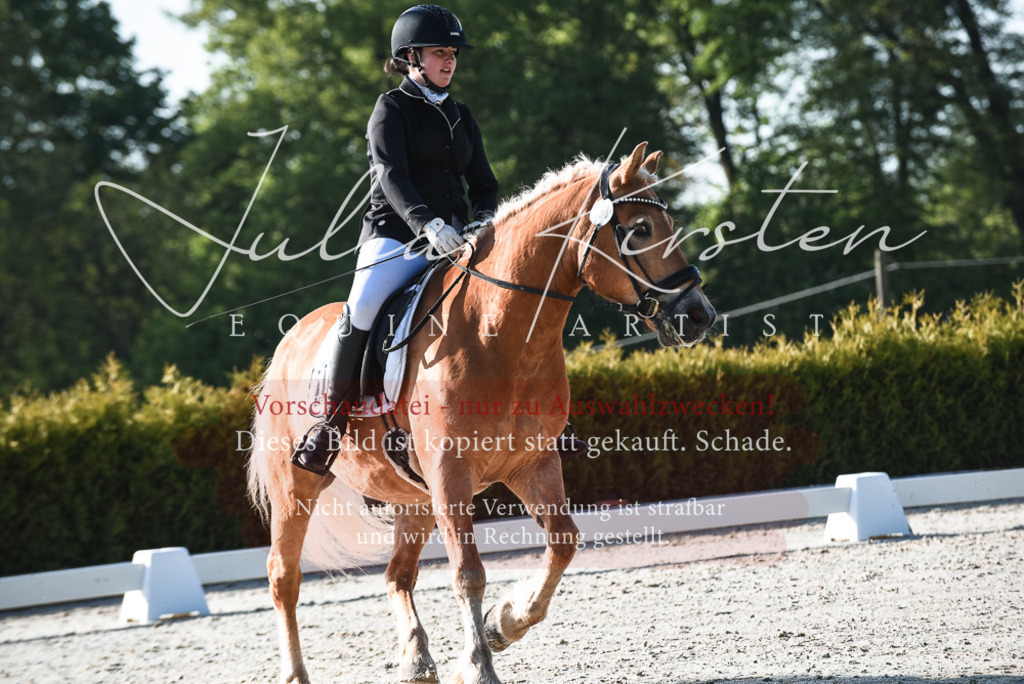 20230518_JK-Röhrsdorf-09-0343 | Pferde- und Turnierfotografie in Westsachsen. Pferdeportraits, Auftragszeichnungen und intuitive Kunst.