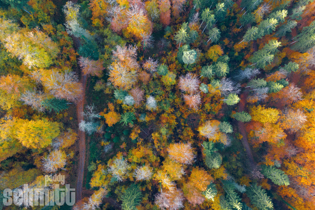 PS-Aerials-2026-28 | Entdecke die größte Bildgalerie der Region mit Fotografien aus dem Allgäu, der Bodenseeregion, Oberschwaben, dem Donautal und der Schwäbischen Alb. Landschaften, Luftaufnahmen und Reisefotografie als Wandbild und Fotokunst. - Realisiert mit Pictrs.com