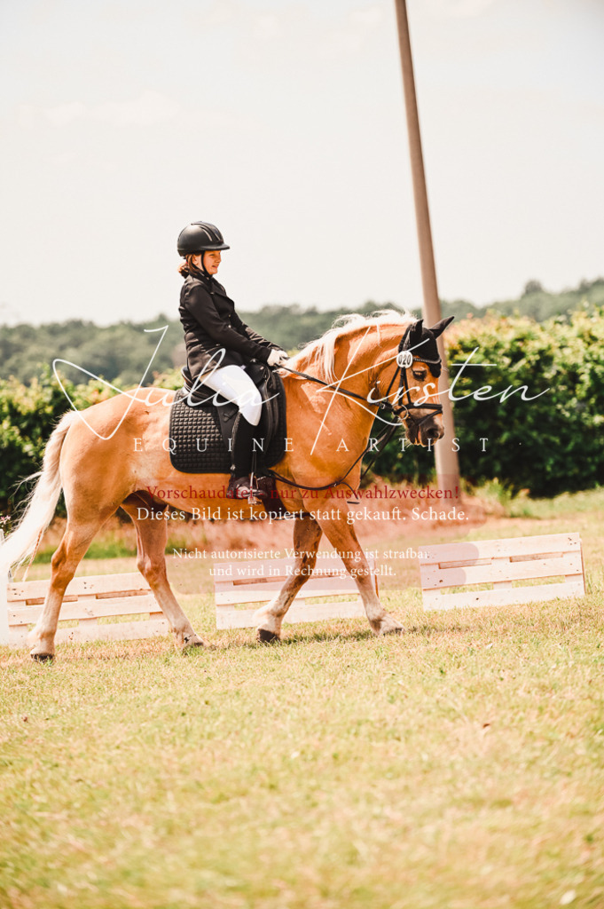 DSC_6366 | Pferde- und Turnierfotografie in Westsachsen. Pferdeportraits, Auftragszeichnungen und intuitive Kunst.