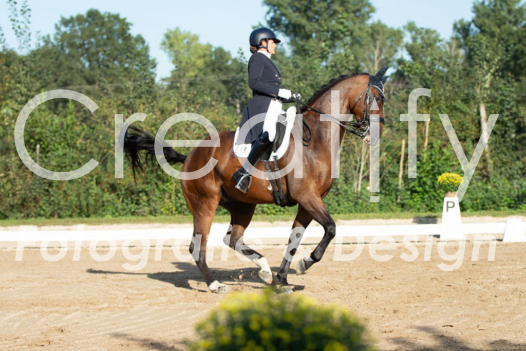 IMG_5692 | Creatify Fotografie