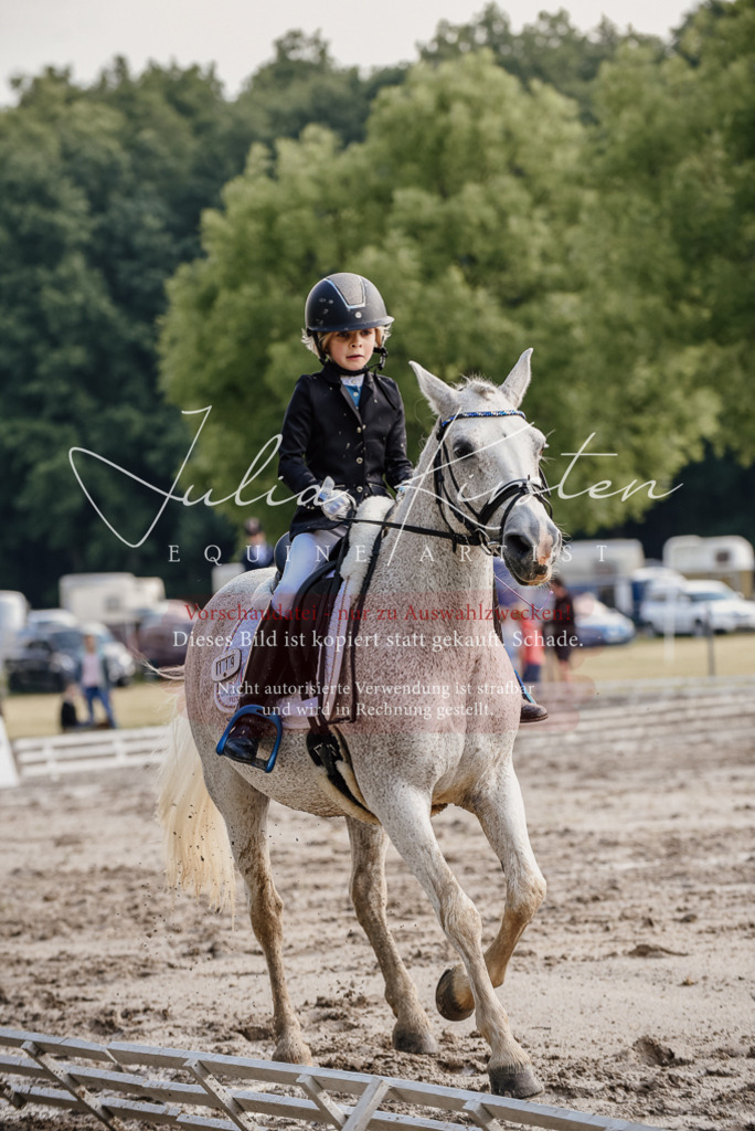DSC_8388 | Pferde- und Turnierfotografie in Westsachsen. Pferdeportraits, Auftragszeichnungen und intuitive Kunst.