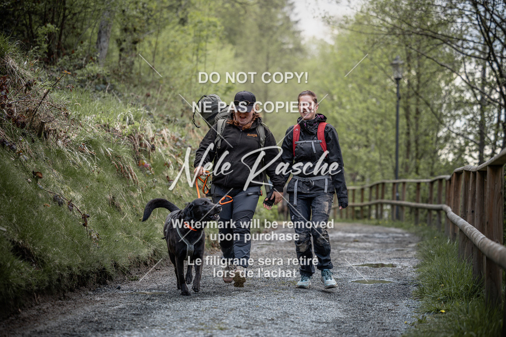 nelerasche_TheGame2026_SaCampEinlauf_242 | nelerasche