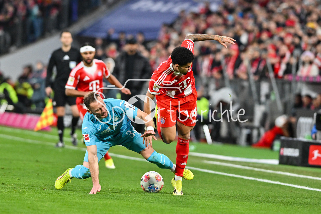 FC Bayern München - TSG 1899 Hoffenheim | MUNICH, GERMANY - 08. FEBRUARY: im Duell Vladimir COUFAL (TSG Hoffenheim 34) und Luis DIAZ (FC Bayern Munich 14) während dem Bundesligamatch zwischen dem FC Bayern München und der TSG 1899 Hoffenheim am 21. Spieltag in der Allianz Arena / DFL REGULATIONS PROHIBIT ANY USE OF PHOTOGRAPHS AS IMAGE SEQUENCES AND/OR QUASI-VIDEO