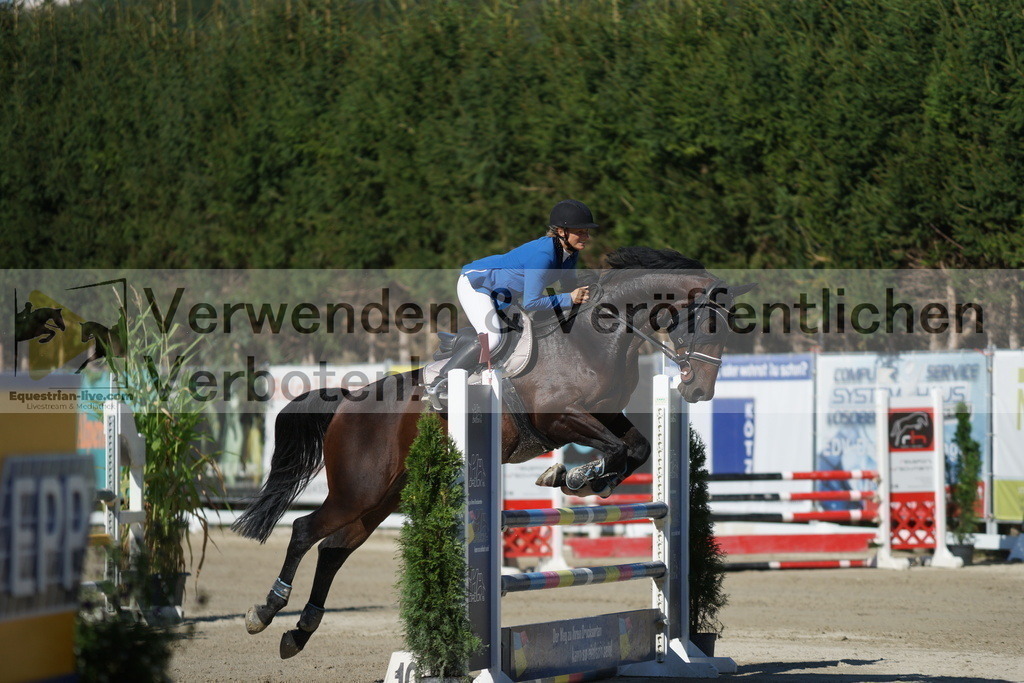 DSC02981 | equestrian-live-com