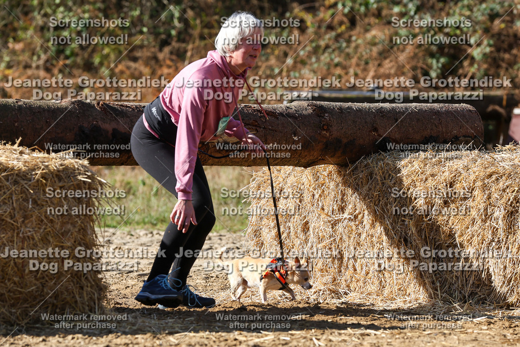 Dog Paparazzi - Strongdog 10-25-4712 | Dog Paparazzi Jeanette Grottendiek Fotografie & Videografie - Realisiert mit Pictrs.com