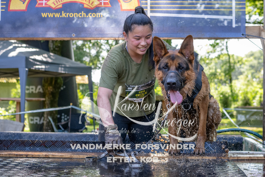 1528_ZZ91456 | kk-dogfotos