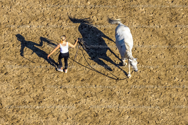 Hattingen240810332 | Luftbild, Reitanlage Friedrich Steffan, longieren Pferdetraining an einer Leine, Niederbonsfeld, Hattingen, Ruhrgebiet, Nordrhein-Westfalen, Deutschland
