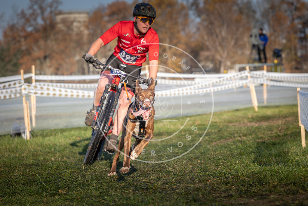 CaniXpix_0L8A3937 | Hundefotografie, Tierfotograf, Pfotenfotografie, Fotoshooting Hund, Hunde Portrait, Hundesport, Hundeportraits, Heideshooting, Hunde, Sportfotograf, Hundefotograf, Turnierhundsport, THS,  - Realisiert mit Pictrs.com
