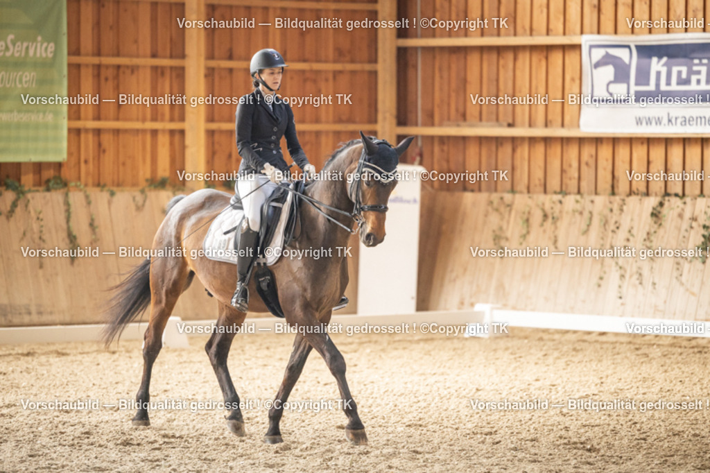 _D5A9298 | Emotionale Pferde- & People-Fotografie rund um Heidelberg, Leimen & Umgebung. Natürliche Fotos von Pferd, Mensch & Familie. Jetzt Termin sichern!