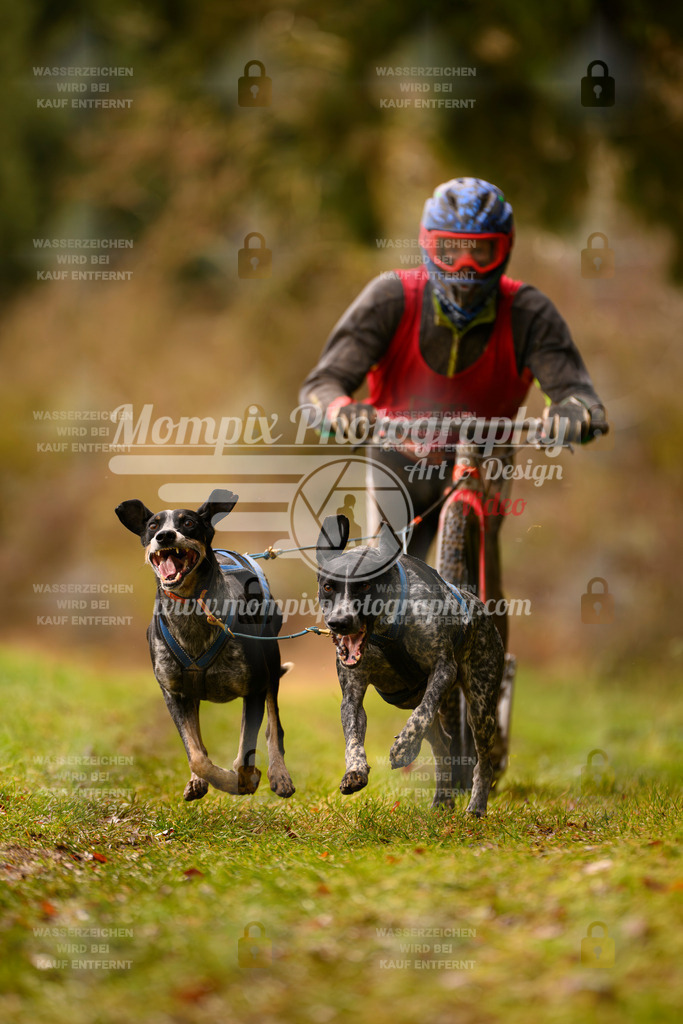 MompixPhotography_2SSTSSBW_2025_SO_Scooter-61 | PayLife
