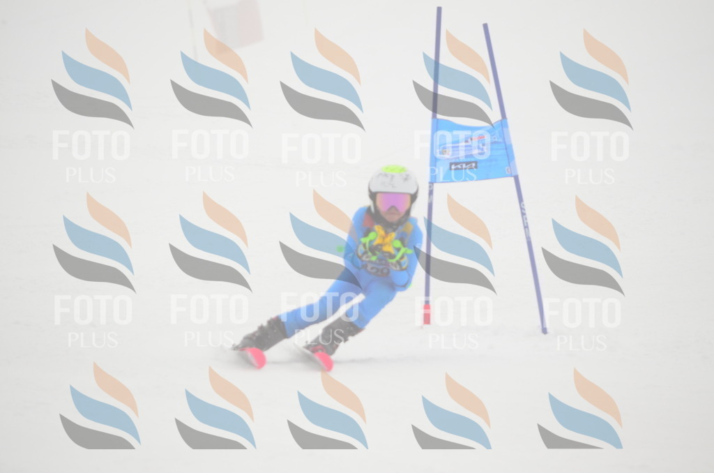 C1612 | holidayphoto