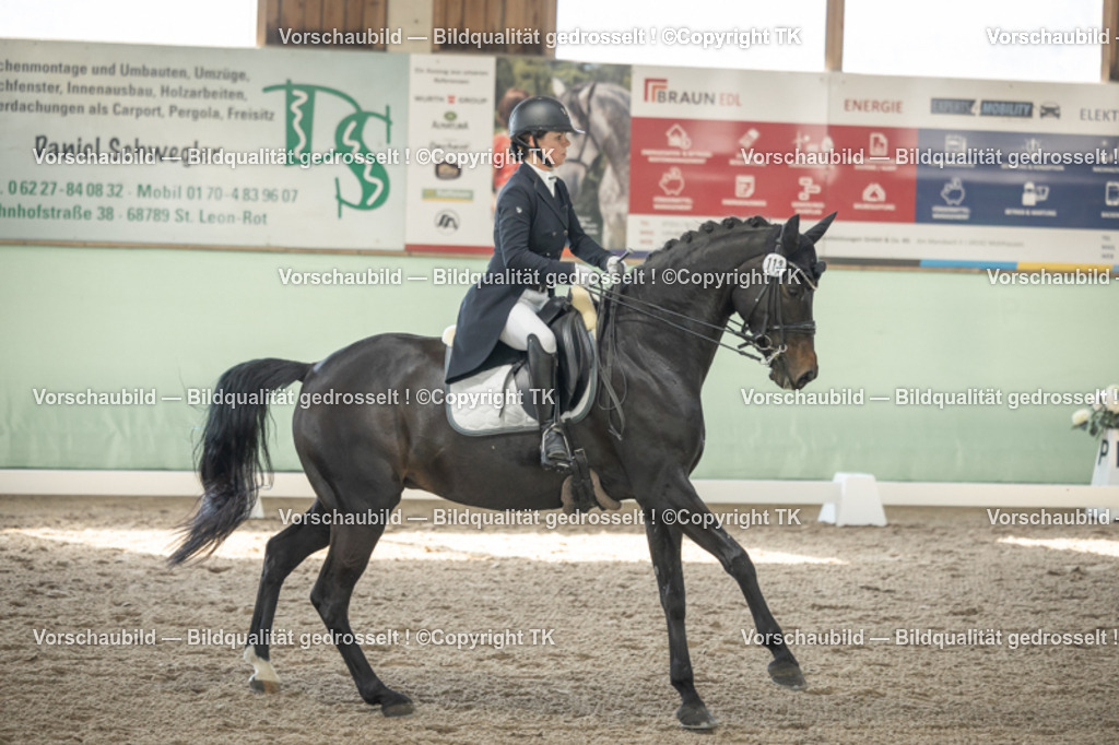 _D5A1081 | Emotionale Pferde- & People-Fotografie rund um Heidelberg, Leimen & Umgebung. Natürliche Fotos von Pferd, Mensch & Familie. Jetzt Termin sichern!