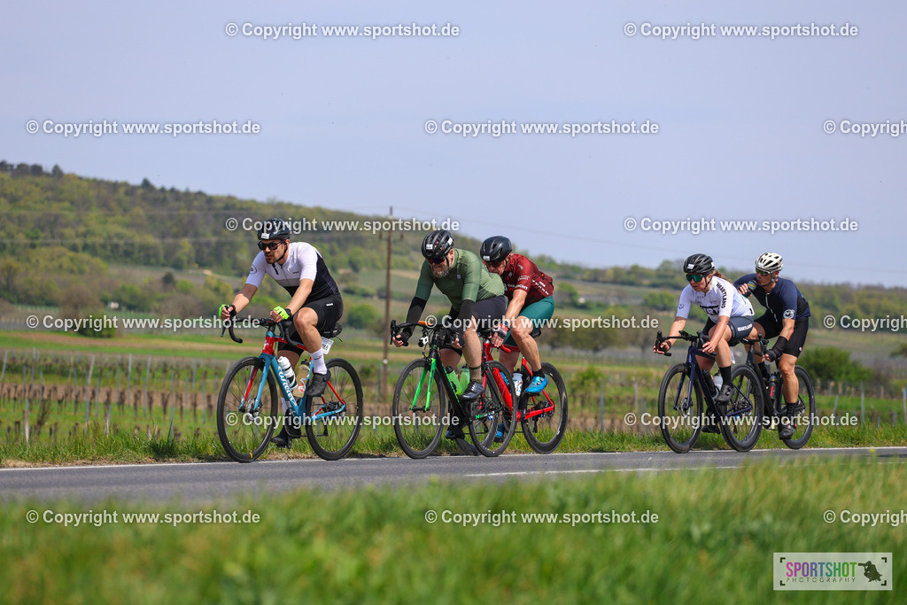 IMG_2529 | @sportshot_your_pictrs #yourpictures#roadtowm2029 #nrm #neusiedlerseeradmarathon #neusiedlersee #neusiedlerseetourismus #burgenland #mörbisch #nrm26 #burgenlandtourismus #voglundco #poweredbyburgenlandtourismus #radsport #rad #marathon #ucigranfondo #visitburgenland #ucigranfondoworldseries