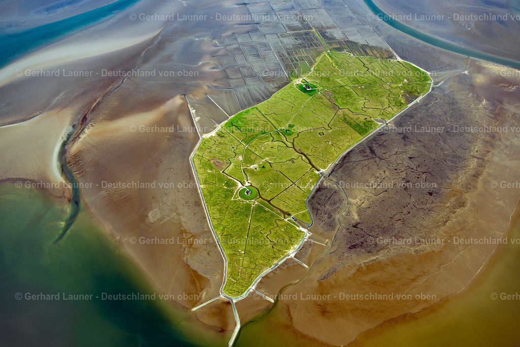 3801609 | Hallig Nordstrandischmoor, Nationalpark Schleswig-Holsteinisches Wattenmeer