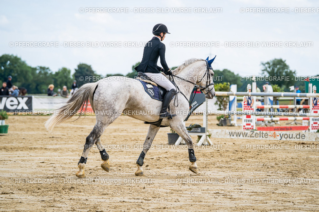 DSC07013 | Pferdegrafie