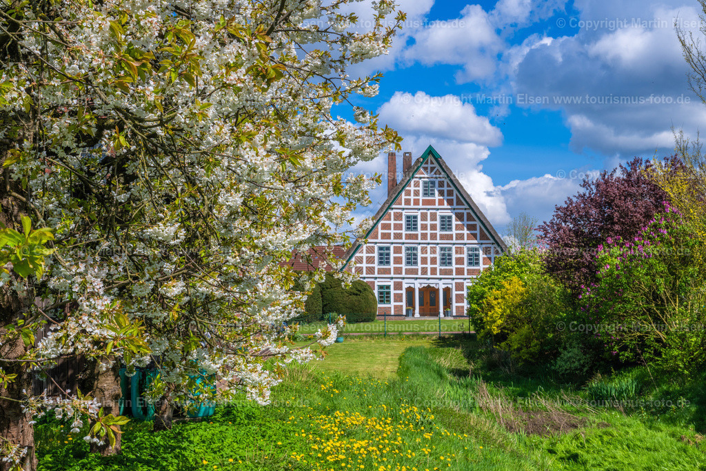 Jork Obst Blüte Fachwerk_ELS_2895170424 | Fotos aus den Touristenorten aus Norddeutschland. - Realisiert mit Pictrs.com
