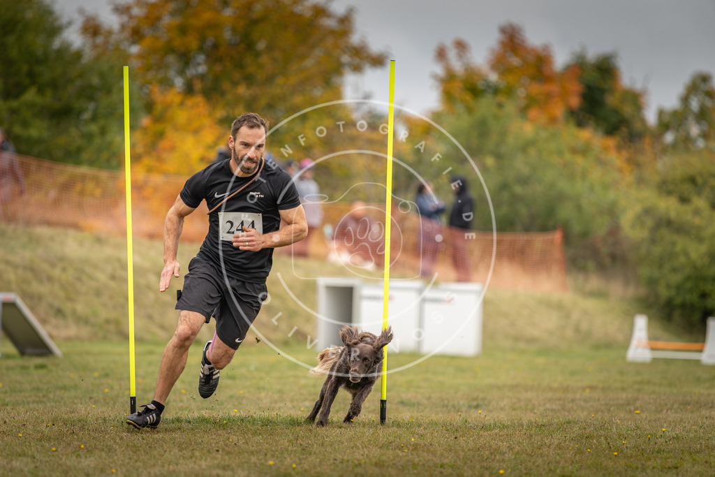 Pfotenfotografie_DV3A5570 | Hundefotografie, Tierfotograf, Pfotenfotografie, Fotoshooting Hund, Hunde Portrait, Hundesport, Hundeportraits, Heideshooting, Hunde, Sportfotograf, Hundefotograf, Turnierhundsport, THS,  - Realisiert mit Pictrs.com