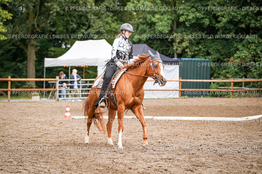 DSC04194 | Pferdegrafie