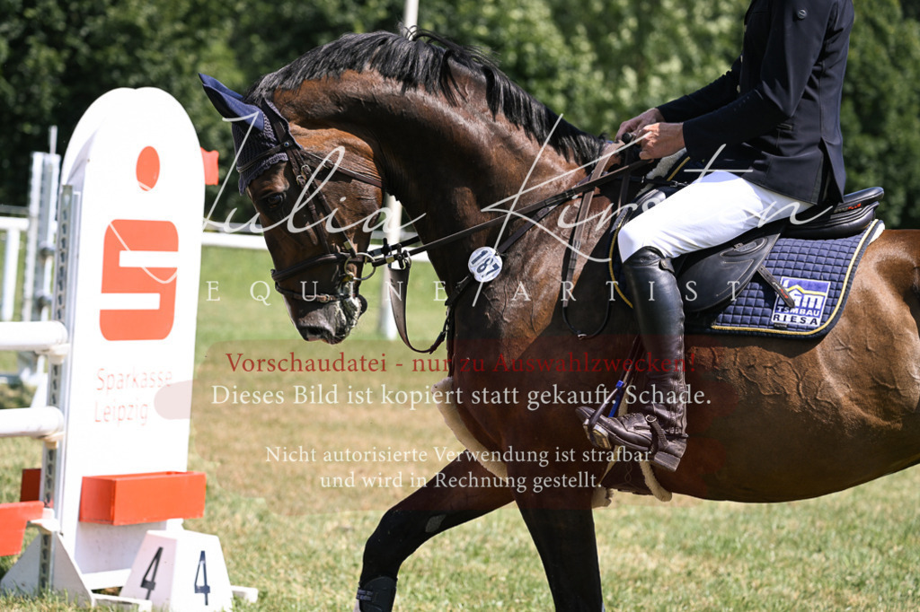 DSC_0263 | Pferde- und Turnierfotografie in Westsachsen. Pferdeportraits, Auftragszeichnungen und intuitive Kunst.