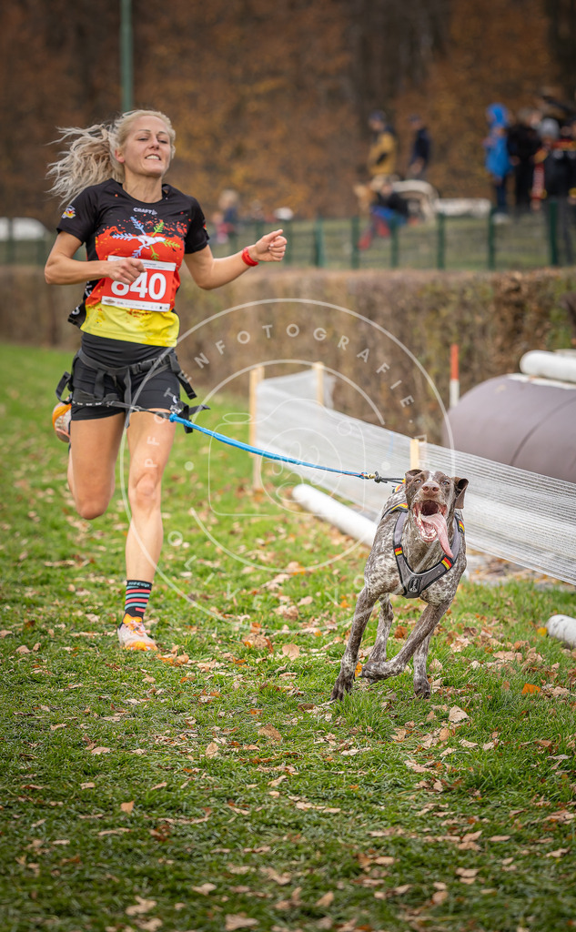 CaniXpix_DV3A6234 | Hundefotografie, Tierfotograf, Pfotenfotografie, Fotoshooting Hund, Hunde Portrait, Hundesport, Hundeportraits, Heideshooting, Hunde, Sportfotograf, Hundefotograf, Turnierhundsport, THS,  - Realisiert mit Pictrs.com