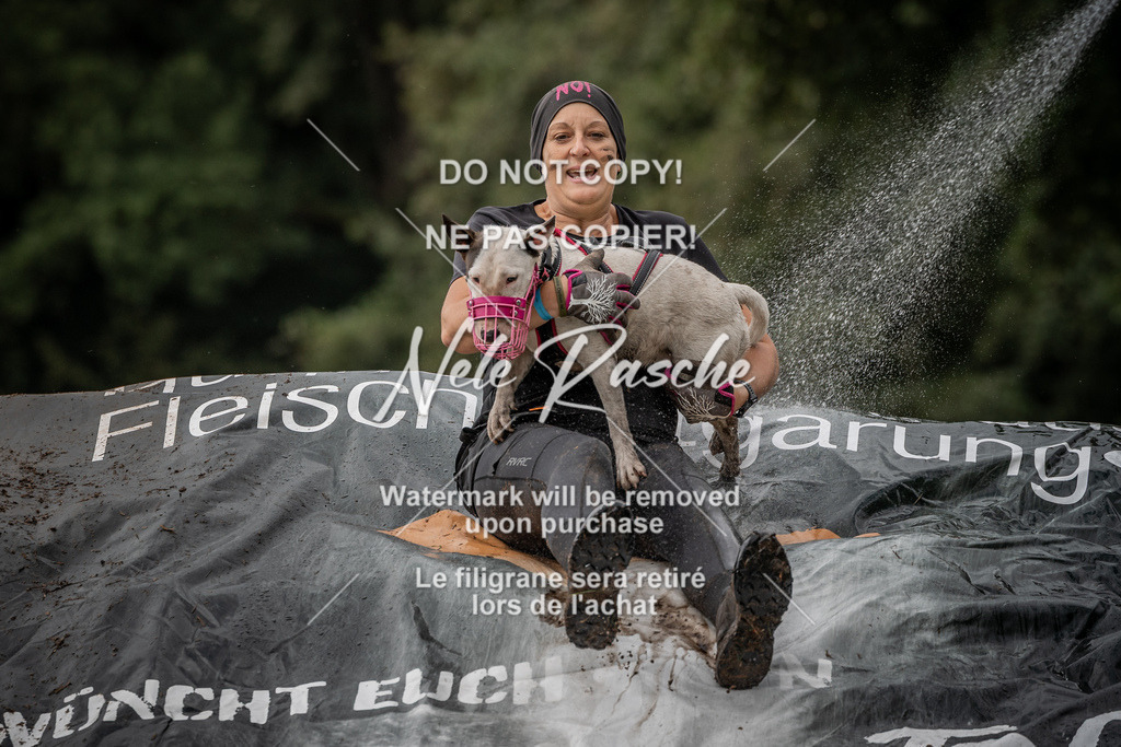 nelerasche_Wingst_Sa1300-1330_136 | nelerasche