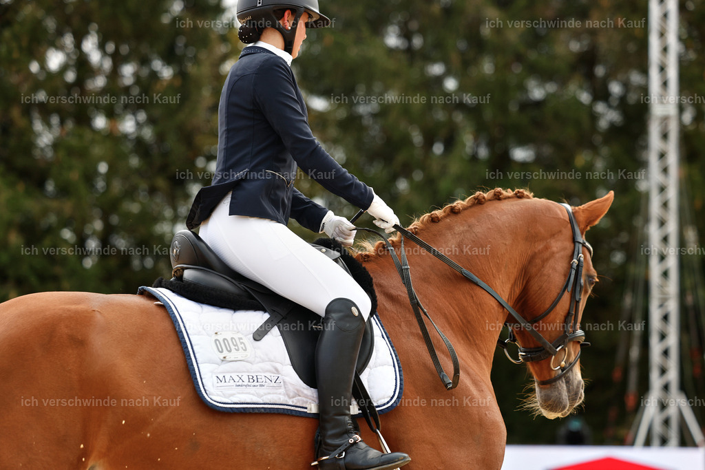 02-095-DRESSUR L_  -StoibPH-4708 | working equitationturnier fotograf videograf stoibphotography marixx film working equitation deutschland reitsport turnierfotografie eventfotografie equestrian events