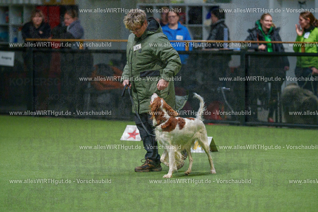 7R504850 | Professionelle Tierfotografie in Mönchengladbach von Daniel Wirth (allesWIRTHgut). Liebevolle & natürliche Bilder von Hunden & Katzen für unvergessliche Erinnerungen.