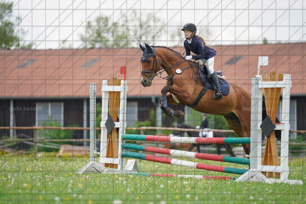 20240509-FAH02576 | Turnierbilder der Turnierfotografen Bayern, Pferdesport Fotografie, Reitsportbilder, Turnier Landberg am Lech, Turnierbilder bayern, Fotoagentur Herrmann