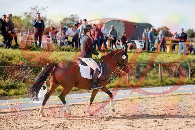 2026_10_03_Siefer-Hof_115441_Z63_30015257 | Professionelle Reitsport-, Turnier- und Eventfotografie von Robert Broda. Galerien mit ausgewählten und bearbeiteten Bildern direkt online ansehen und bestellen.